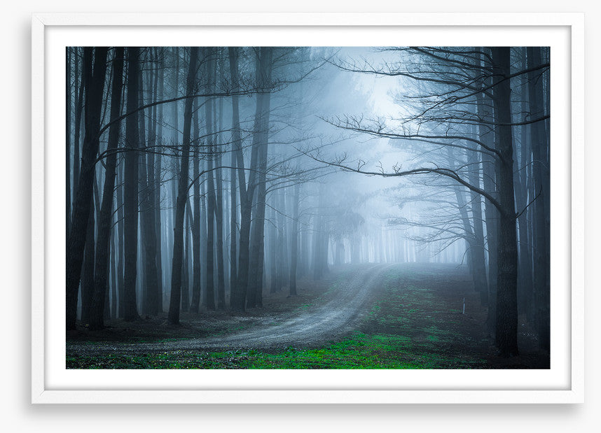 Black forest bend