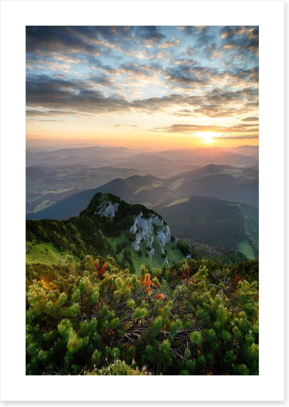 Summer summit