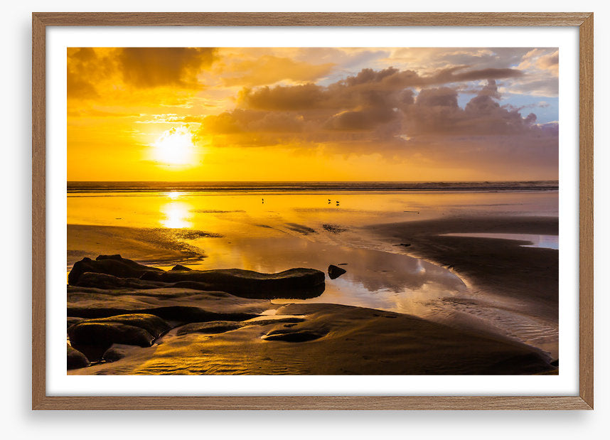 Auckland aglow