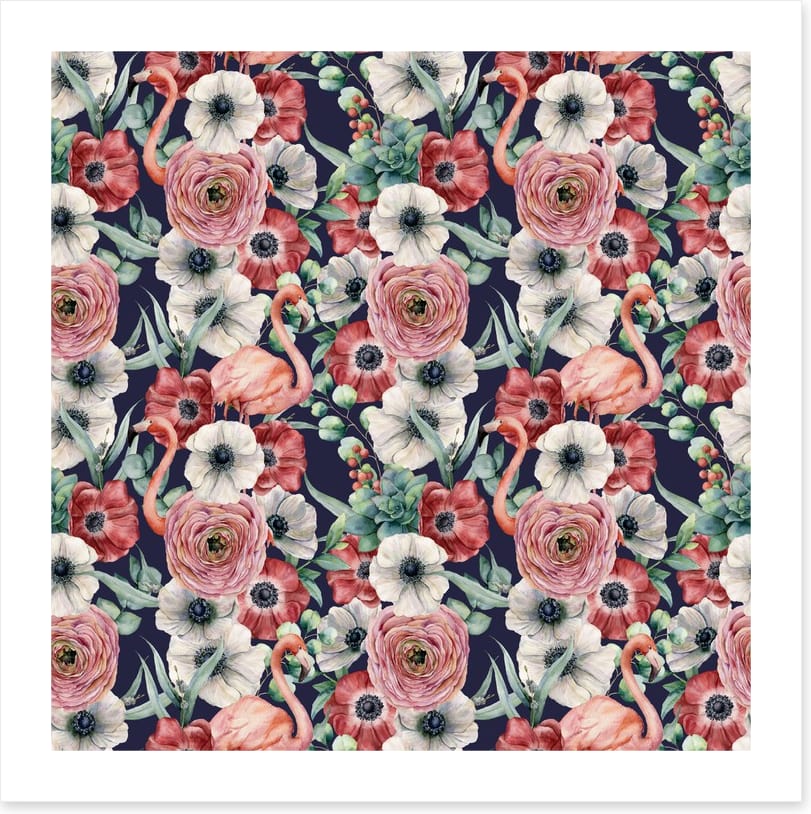 Ranunculus flamingos
