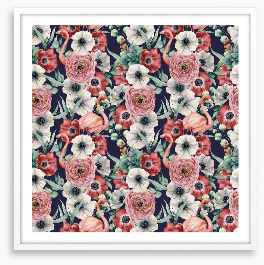 Ranunculus flamingos