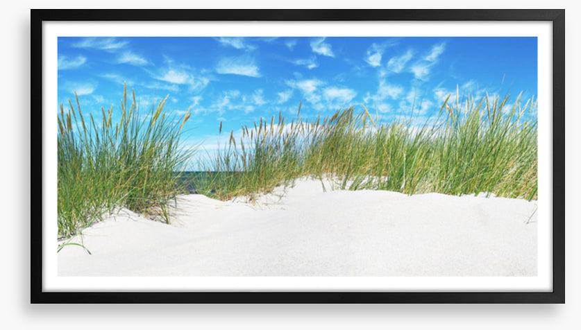 Green grass dunes