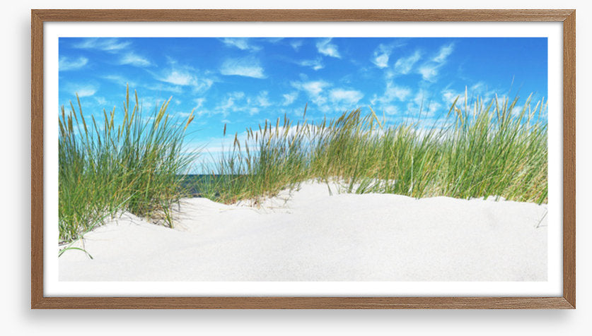 Green grass dunes