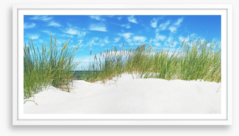 Green grass dunes