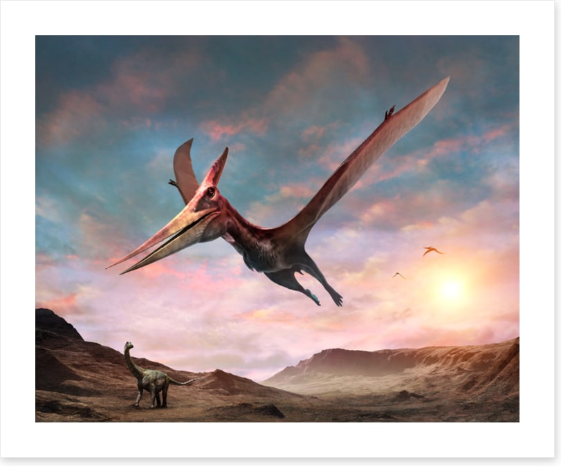Pteranodon glide