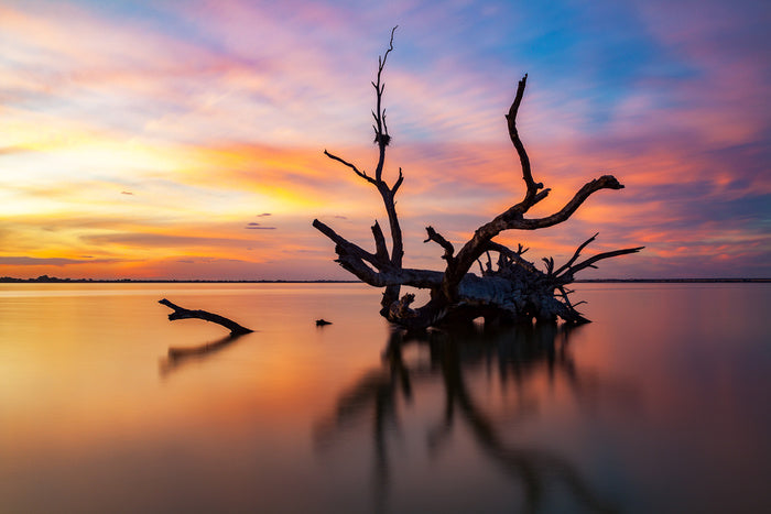 Lake Bonney silhouettes