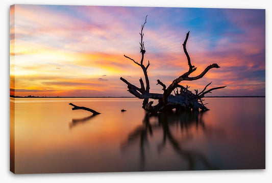 Lake Bonney silhouettes