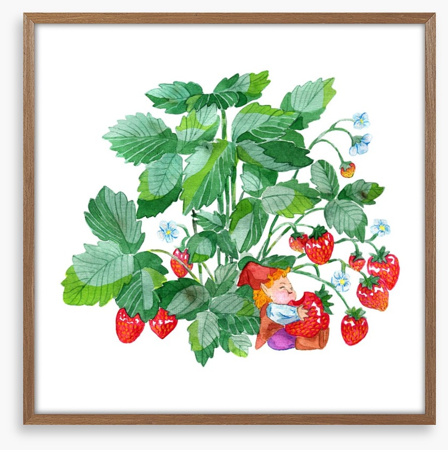 Fun Gardens