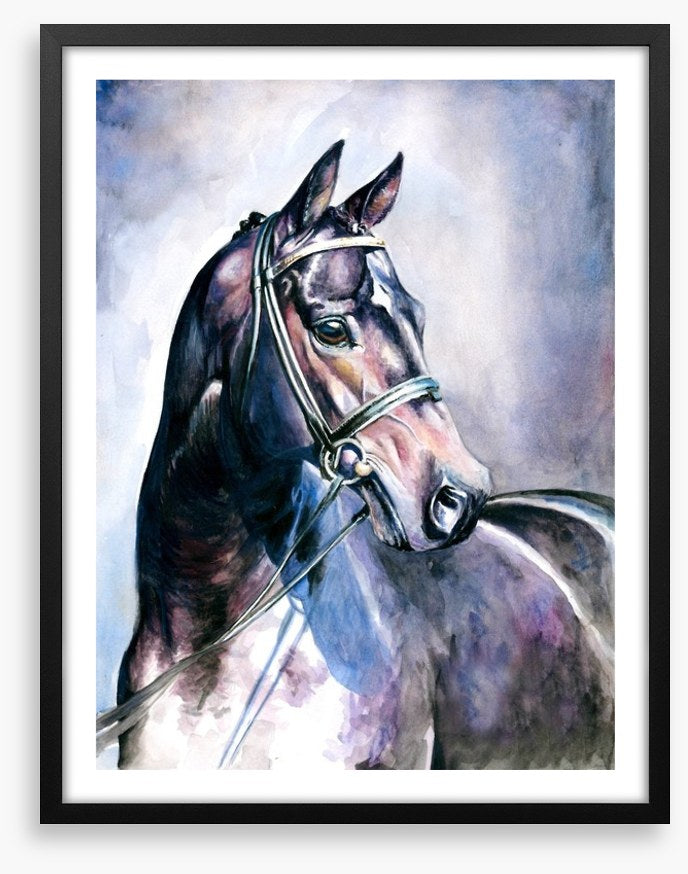 Soulful mare
