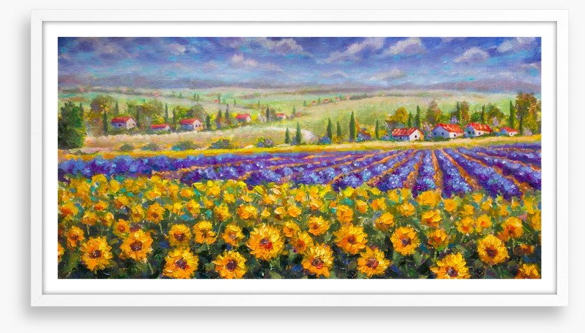 Meadows of Tuscany