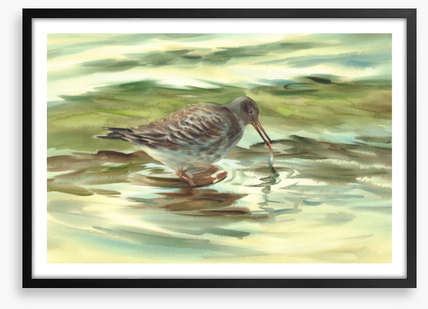 Wet beak