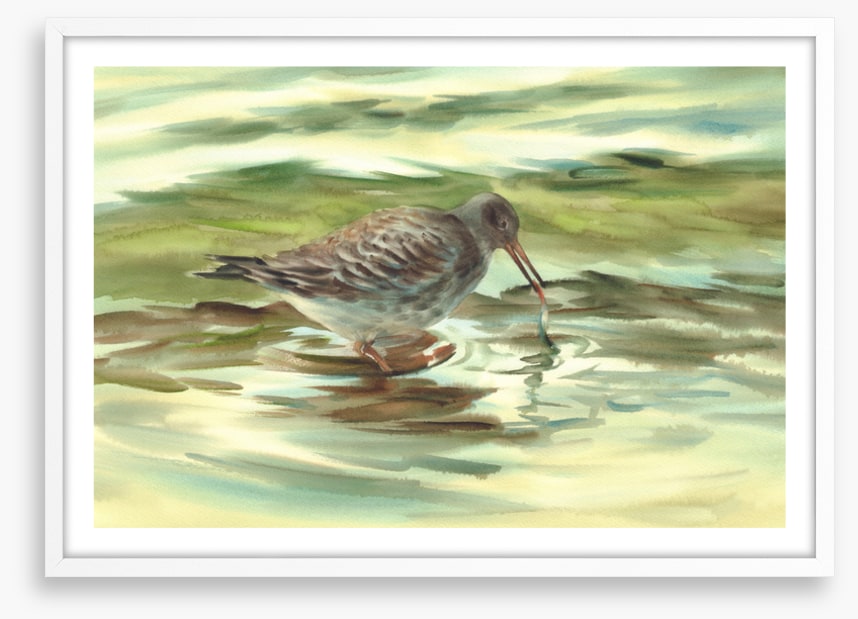 Wet beak