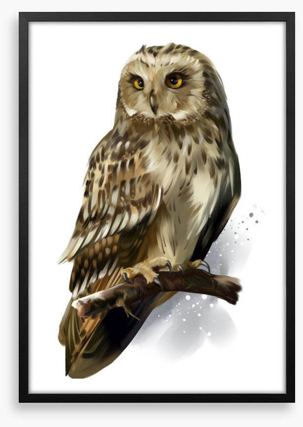 Birds