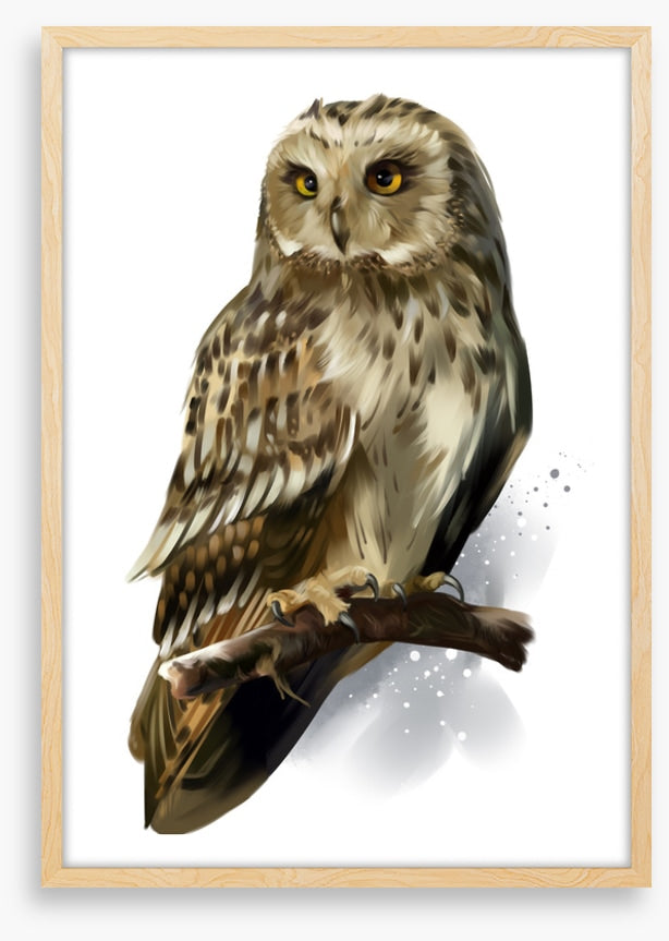 Birds