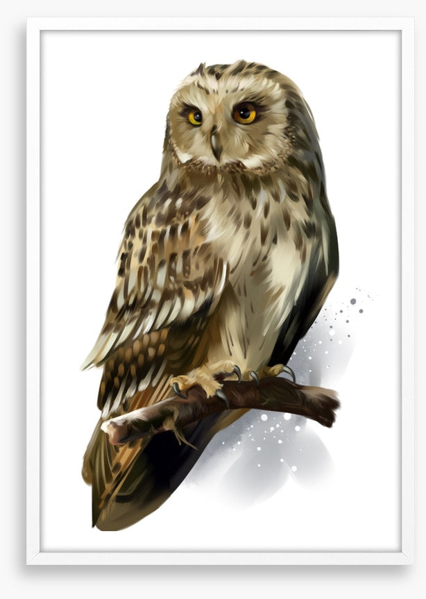 Birds