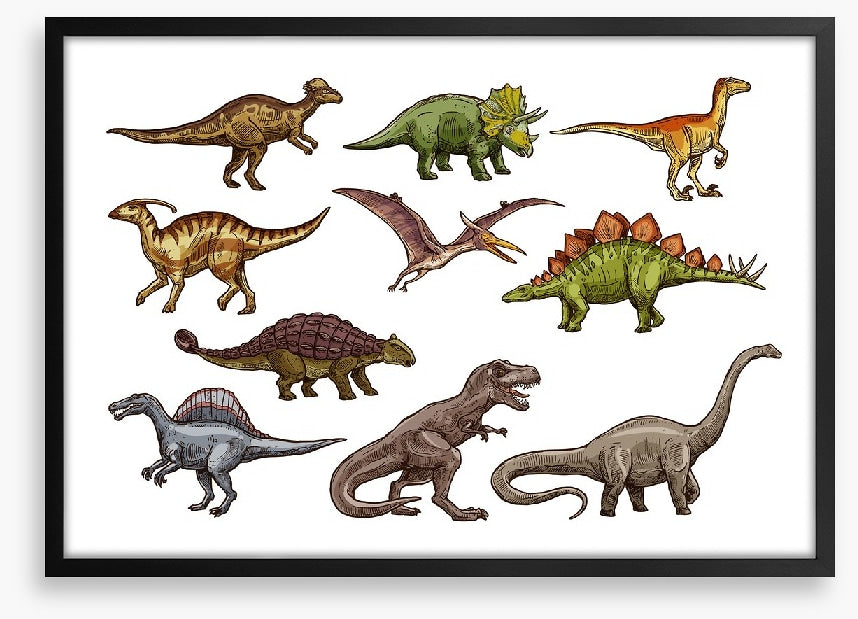 All shapes and sizes