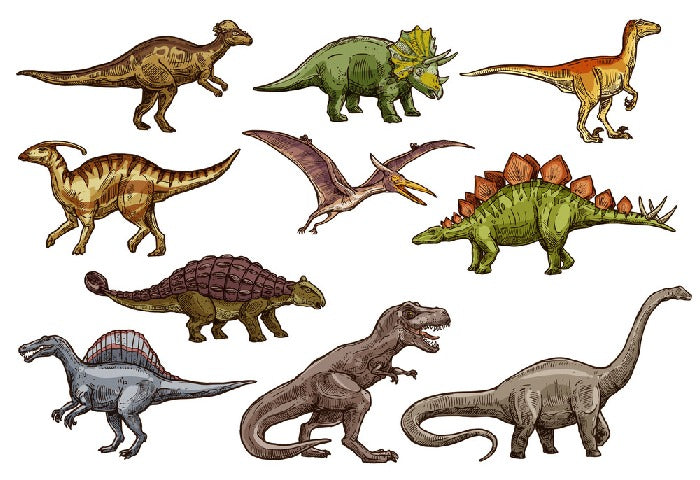 All shapes and sizes