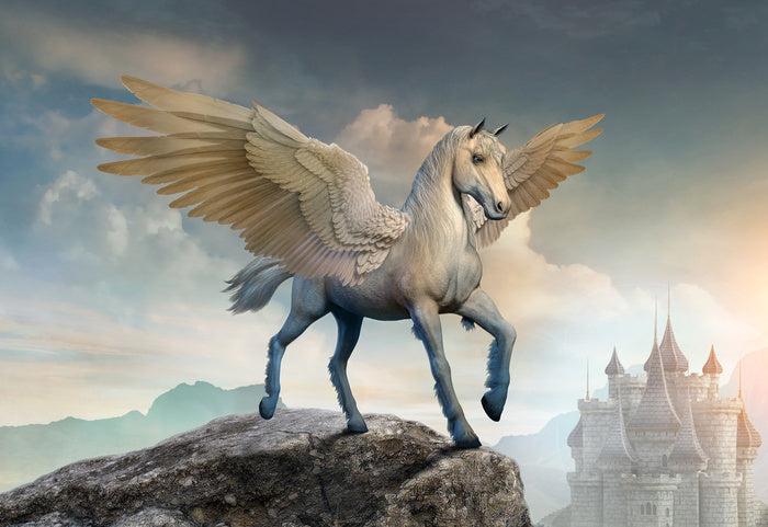 Pegasus perch