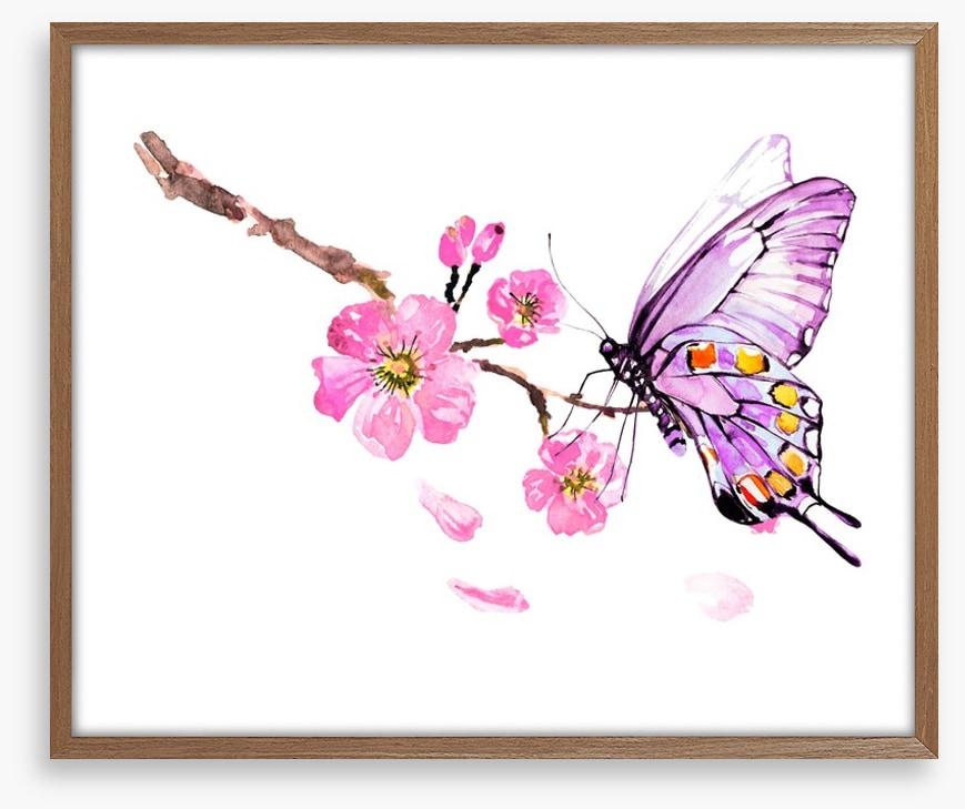 Butterflies