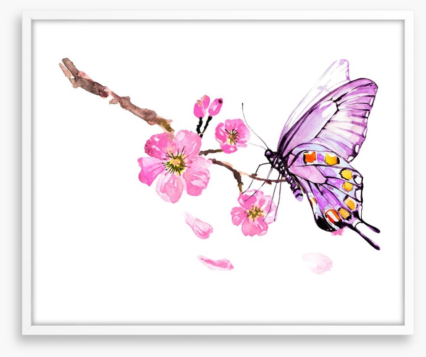 Butterflies