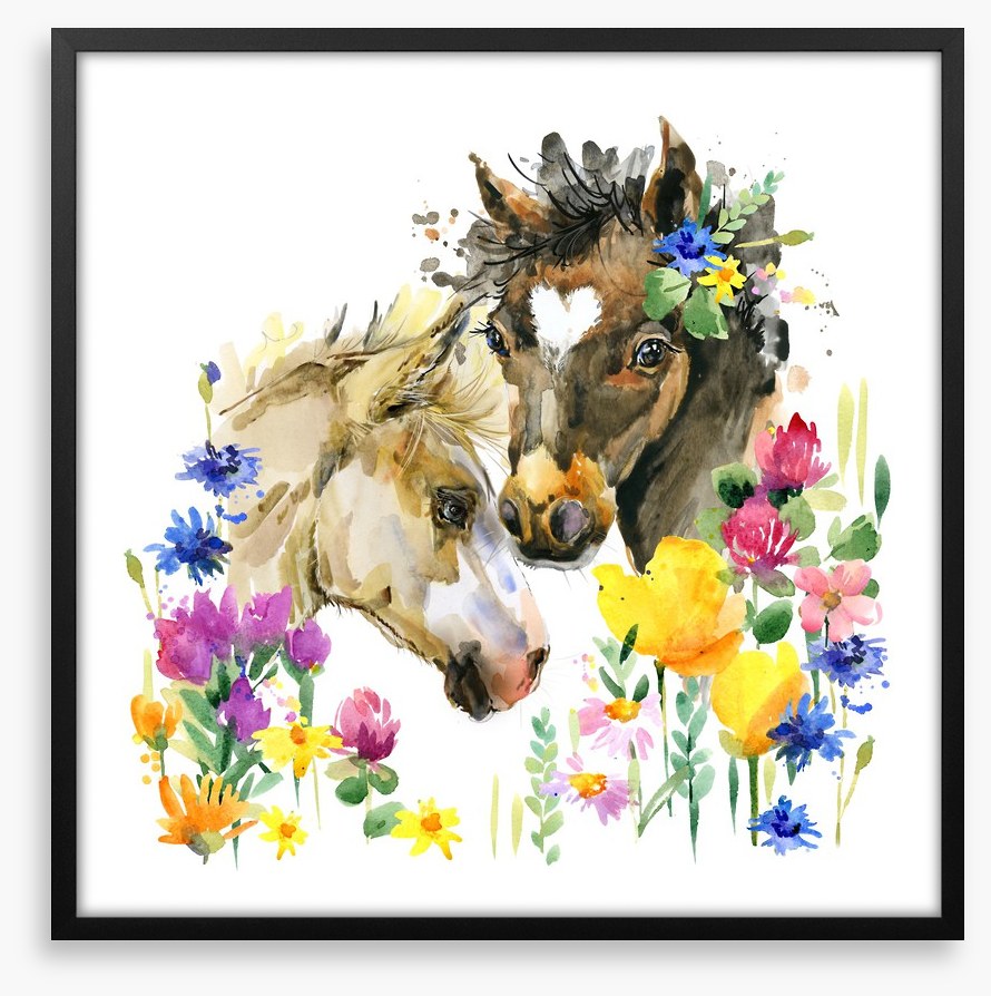 Wildflower foals