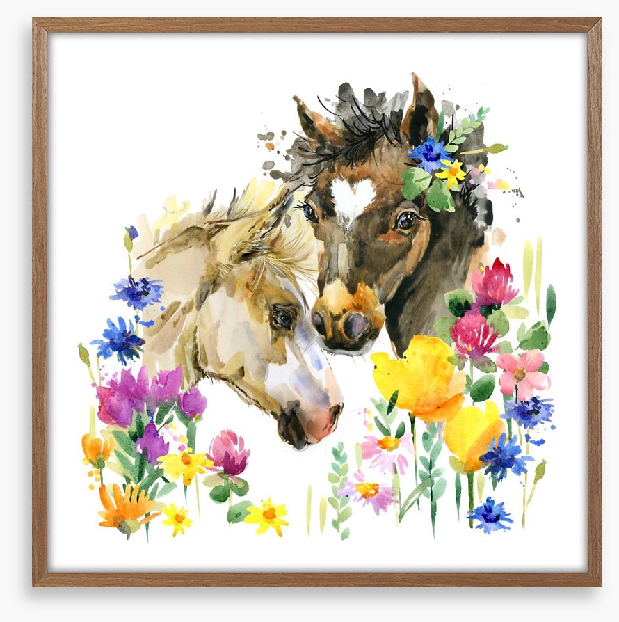 Wildflower foals