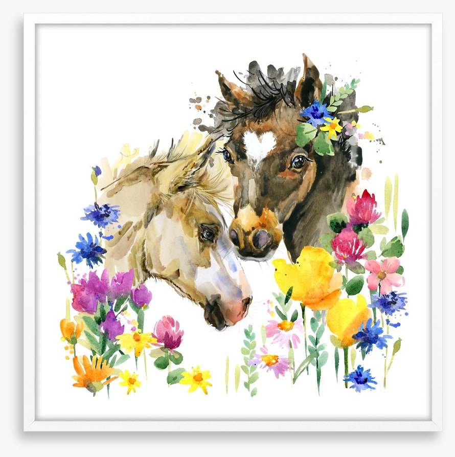 Wildflower foals