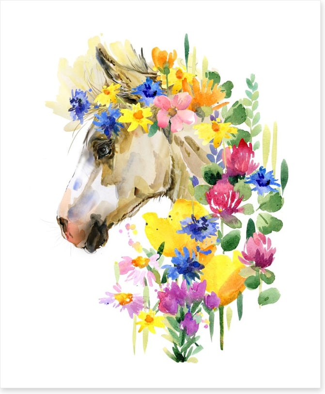 Spring steed