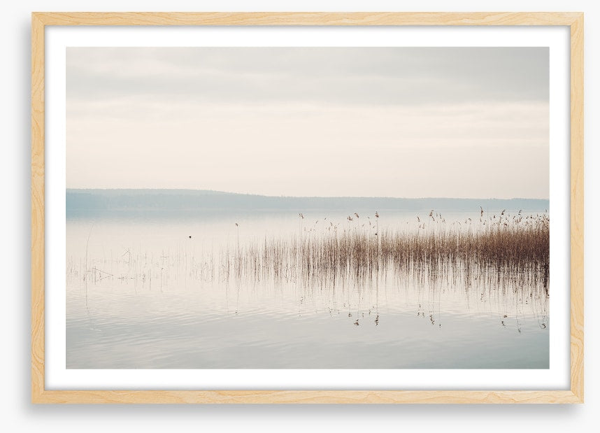 Lakeside mist