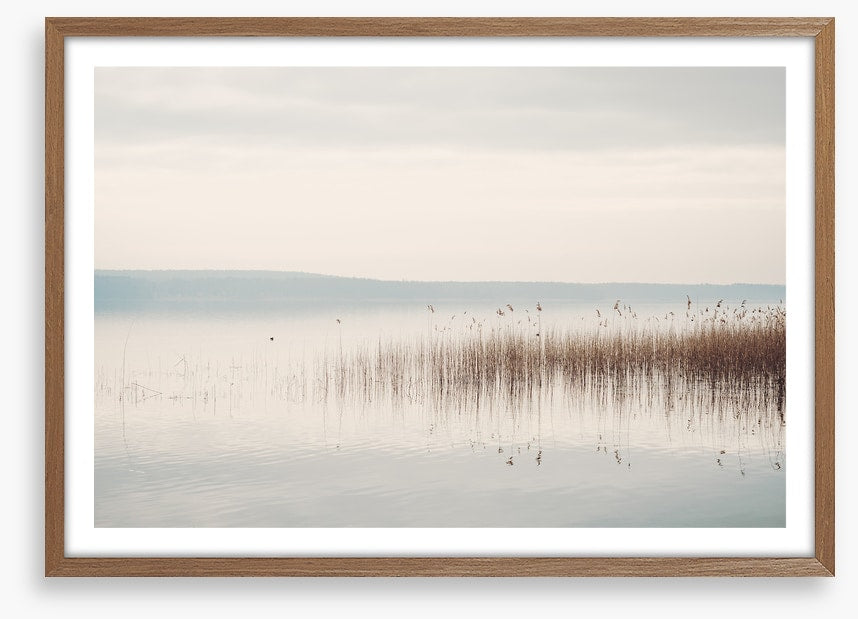 Lakeside mist
