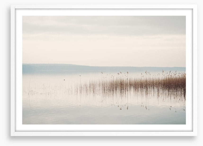 Lakeside mist