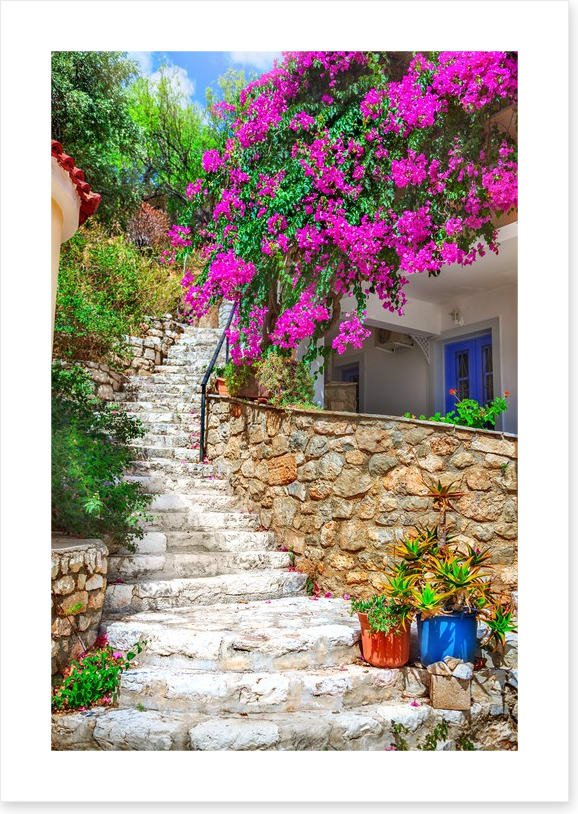 The bougainvillea steps
