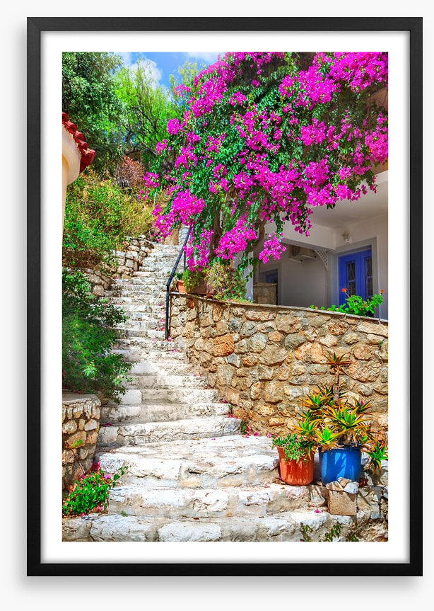 The bougainvillea steps