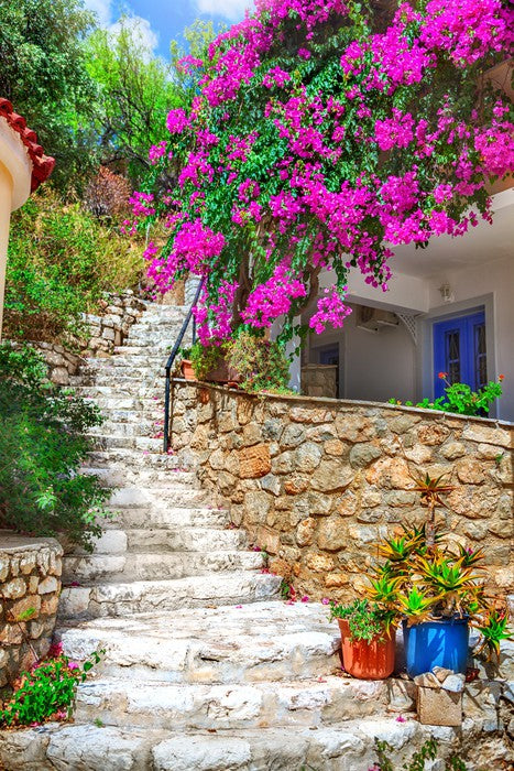 The bougainvillea steps