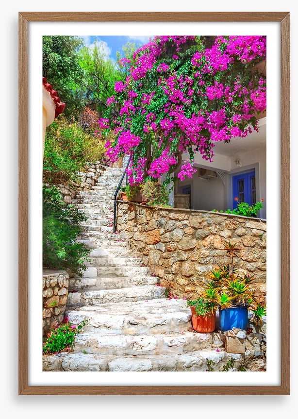 The bougainvillea steps