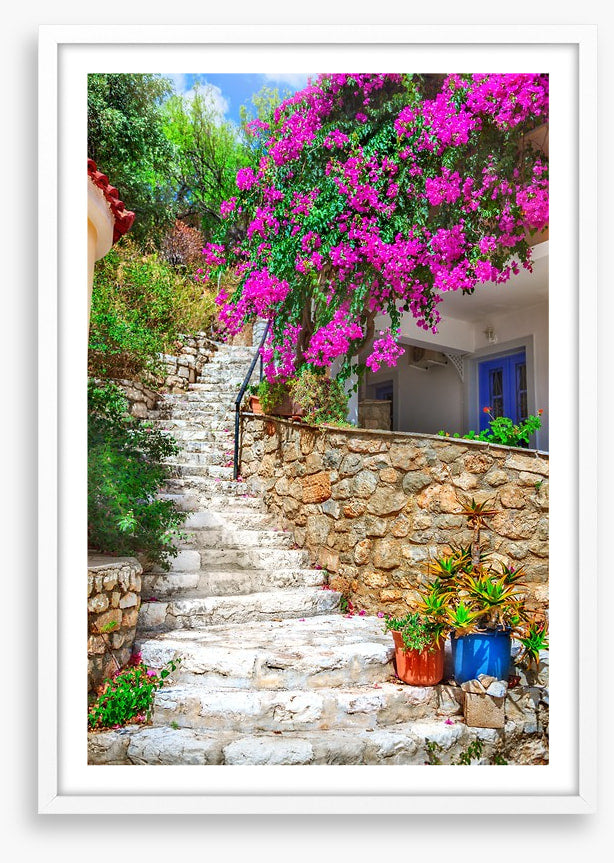The bougainvillea steps