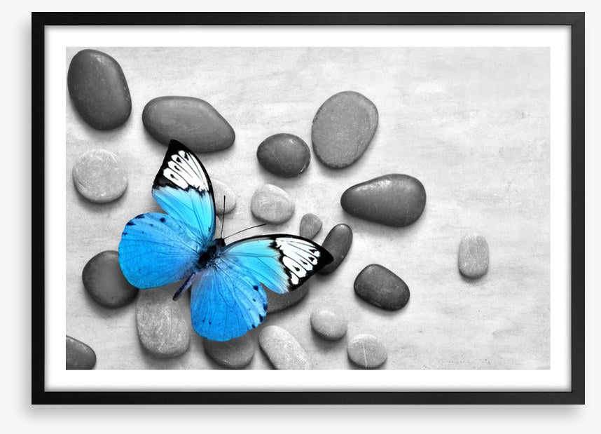Blue butterfly stones