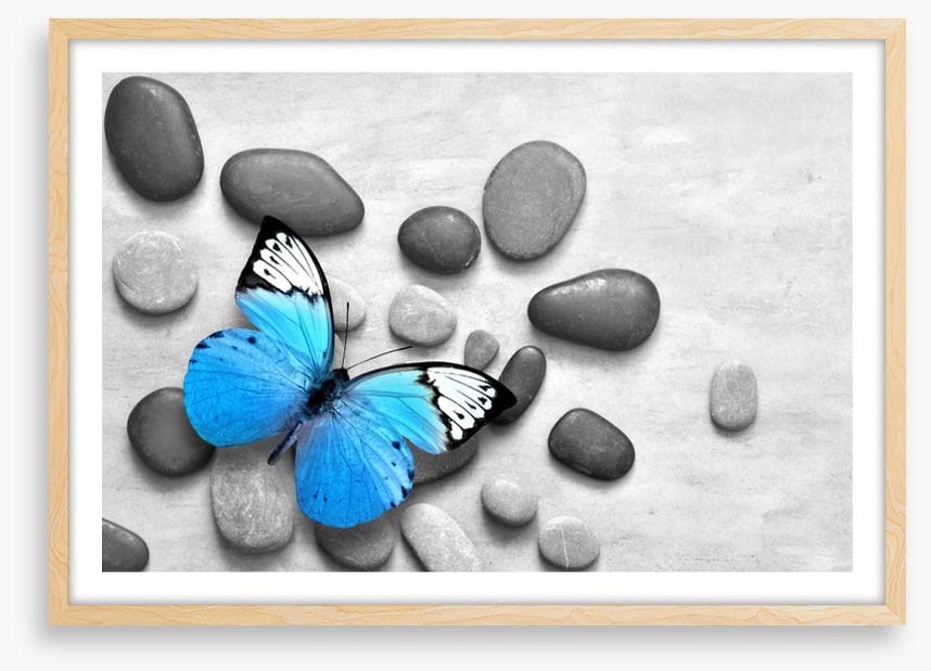 Blue butterfly stones