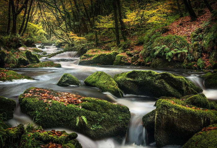 Flowing through fall
