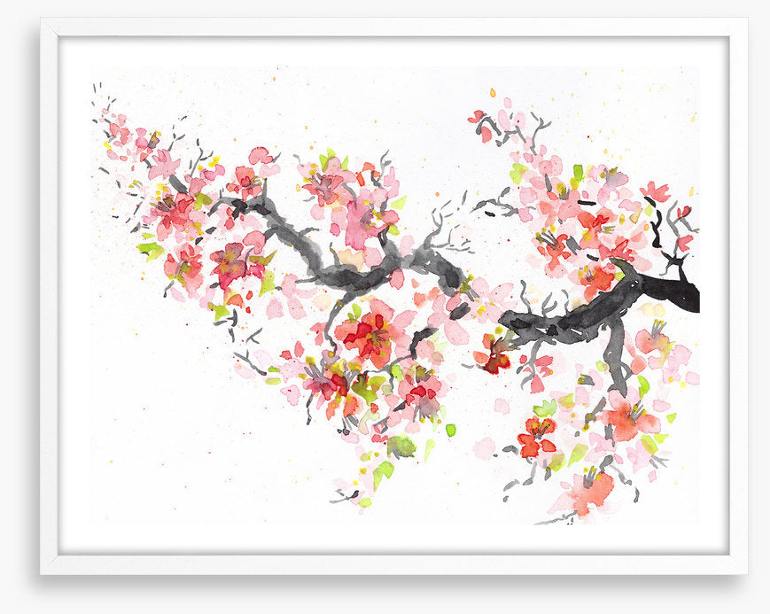 Spring sakura bloom