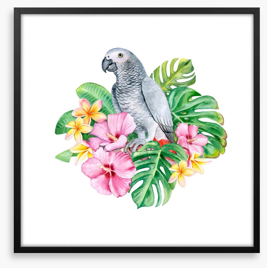 Parrot in the plumeria