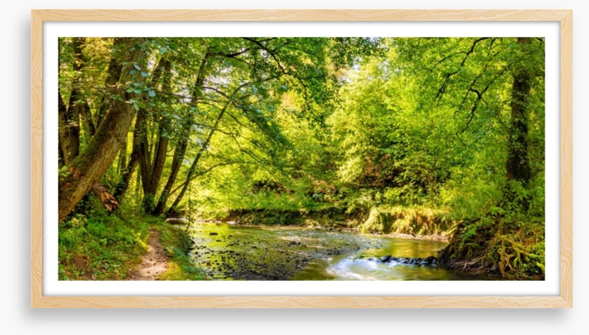Babbling brook
