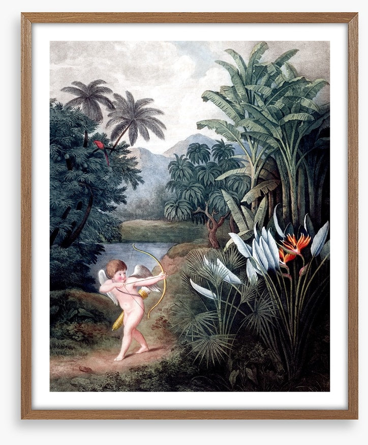 Cherub in the wilderness