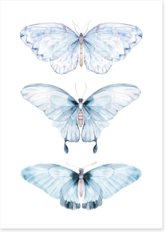 Barely there butterflies