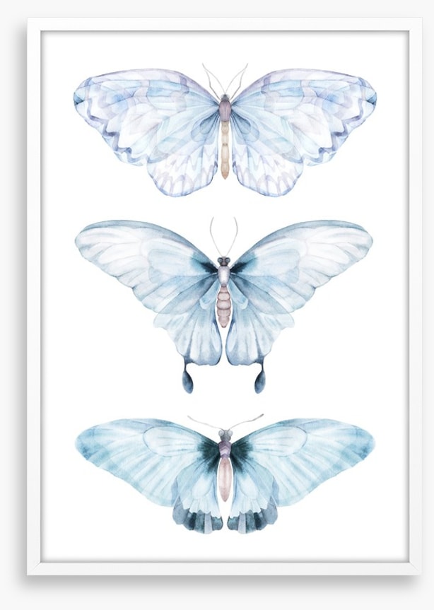 Barely there butterflies