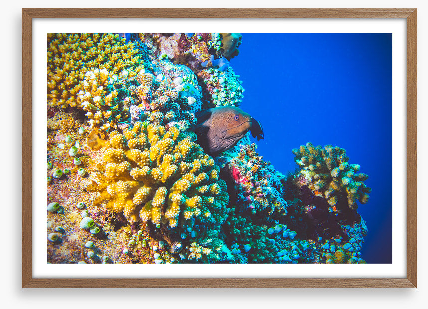 Underwater