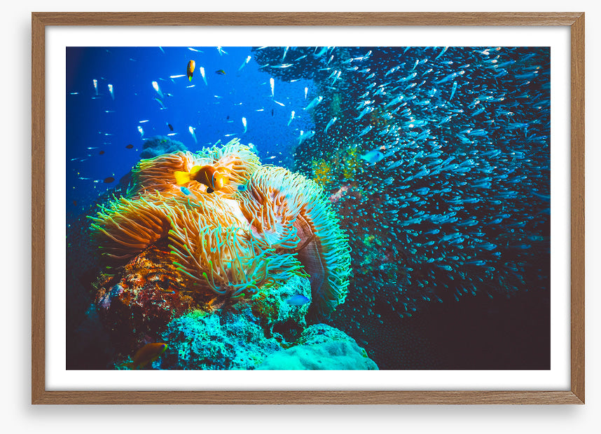 Underwater