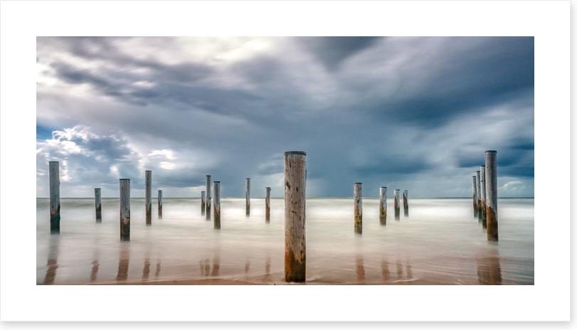 Stumped by nature