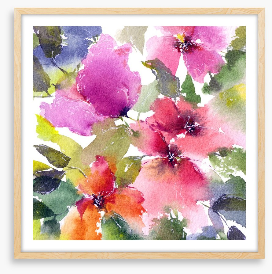 Blushing blooms