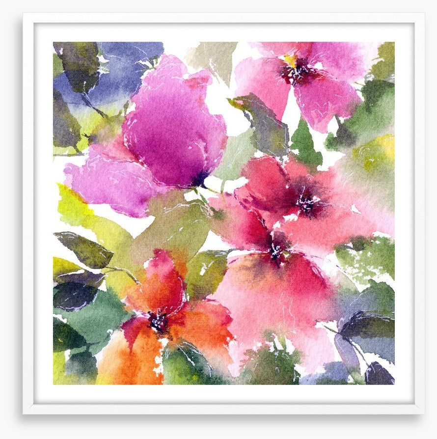 Blushing blooms